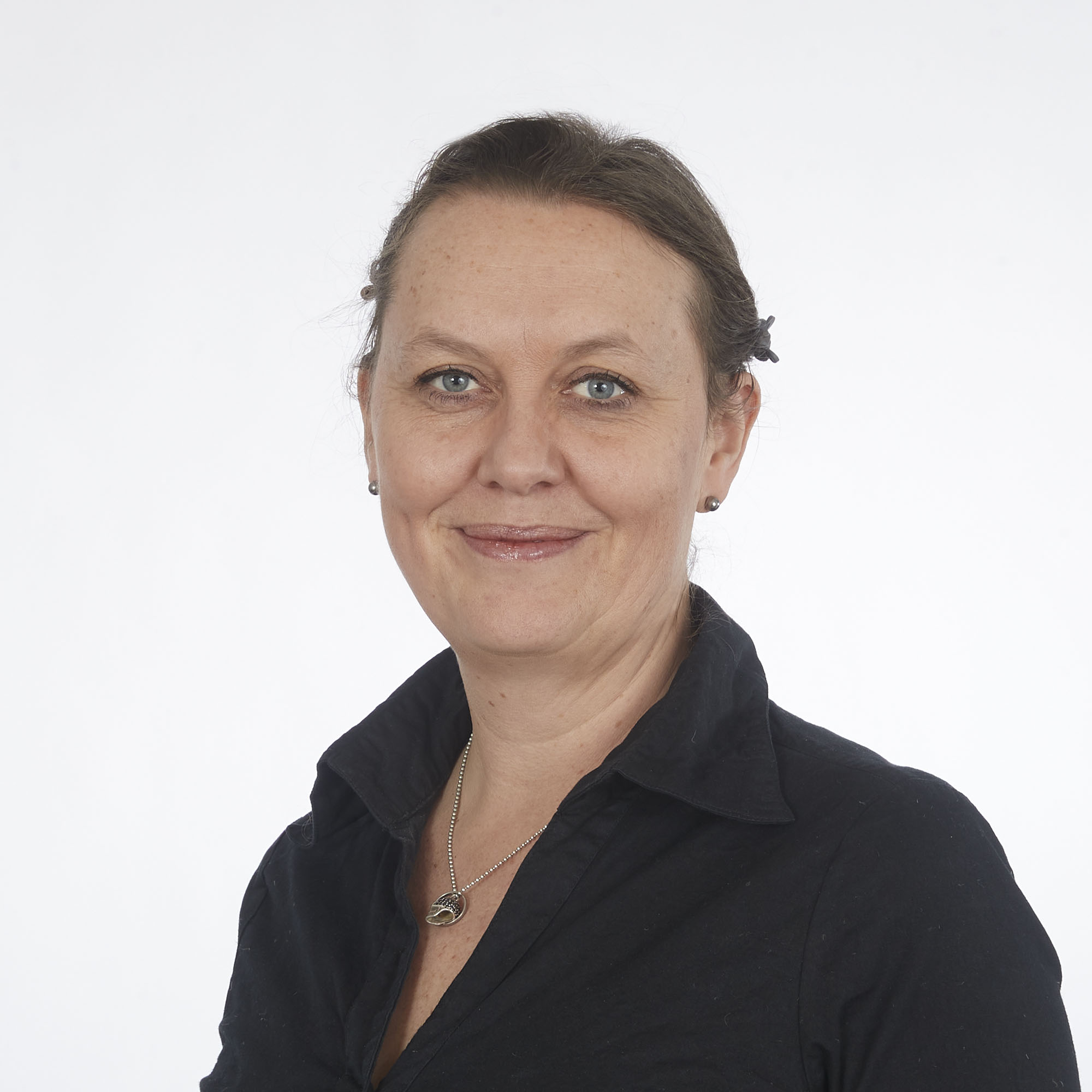 Linda Cronebäck, Projekt- och projekteringsledning